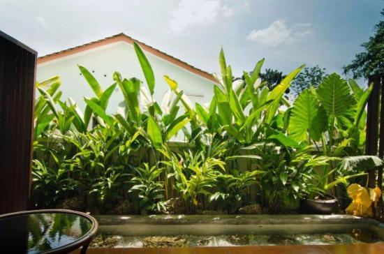 Mydream Guest House Ipoh Eksteriør billede